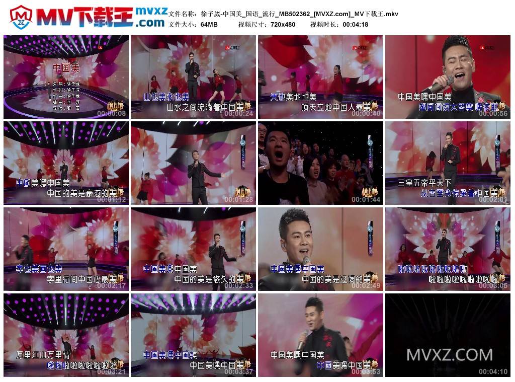 徐子崴-中国美_国语_流行_MB502362